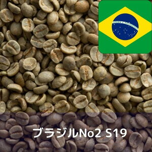 R[q[ uWNo2 S19 1kg  R[q[  Mtg  hbv y