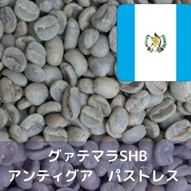 コーヒー生豆 グァテマラSHB アンティグア パストレス Qグレード 1kg 送料無料 コーヒー豆 自家焙煎 ギフト お中元 ドリップ あす楽