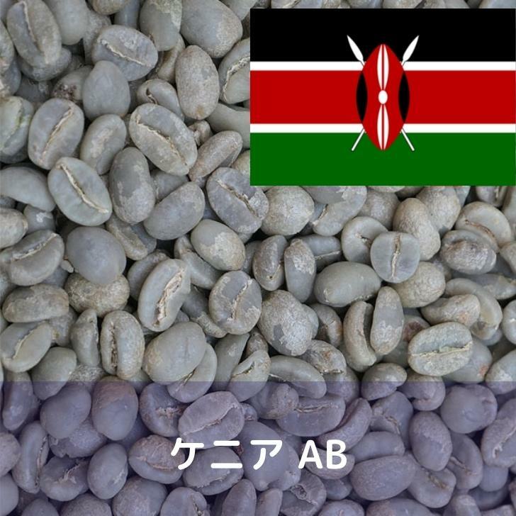 コーヒー生豆をお届けします 期間限定ポイント5倍 コーヒー生豆 多様な ケニア AB Qグレード 10kg コーヒー豆 ドリップ 驚きの値段 送料無料 自家焙煎 お中元 ギフト