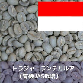 コーヒー生豆 トラジャ ランテカルア （有機JAS栽培） 1kg 送料無料 コーヒー豆 自家焙煎 ギフト お中元 ドリップ　あす楽