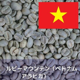 コーヒー生豆 ルビーマウンテン（ベトナム　アラビカ） 1kg 送料無料 コーヒー豆 自家焙煎 ギフト お中元 ドリップ あす楽