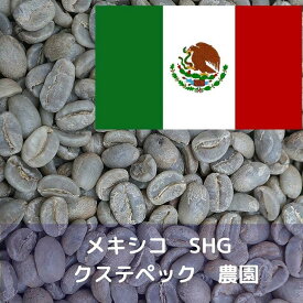 コーヒー生豆 メキシコ SHG クステペック農園 Qグレード 1kg 送料無料 コーヒー豆 自家焙煎 ギフト お中元 ドリップ あす楽