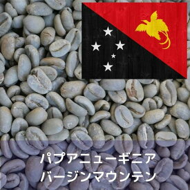 コーヒー生豆 パプアニューギニア バージンマウンテン 1kg 送料無料 コーヒー豆 自家焙煎 ギフト お中元 ドリップ あす楽