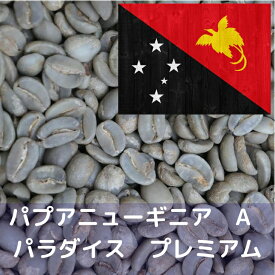 コーヒー生豆 パプアニューギニア A パラダイス プレミアム 1kg 送料無料 コーヒー豆 自家焙煎 生豆 珈琲 未焙煎 自家焙煎用生豆 珈琲生豆 ギフト お中元 ドリップ あす楽