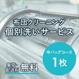 布団クリーニング 個別洗いサービス 1枚 中バッグコース 宅配クリーニング 羽毛布団 シングル 掛布団 布団カバー 送料無料 毛布 ふとん 枕 ベビー布団 防虫 安い 引っ越し クーポン おすすめ 丁寧 丸洗い セミダブル 寝具 こたつ 防ダニ 枕クリーニング シーツ 高品質