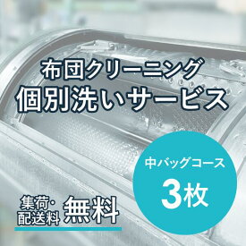 布団クリーニング 個別洗いサービス 3枚 中バッグコース 宅配クリーニング 羽毛布団 シングル 掛布団 布団カバー 送料無料 毛布 ふとん 枕 ベビー布団 防虫 安い 引っ越し クーポン おすすめ 丁寧 丸洗い セミダブル 寝具 こたつ 防ダニ 枕クリーニング シーツ 高品質