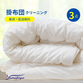 布団クリーニング 中バッグコース 3枚 クリーニング 宅配 羽毛布団 シングル 掛布団 布団カバー 送料無料 毛布 ふとん 枕 ベビー布団 防虫 安い 引っ越し 配達 洗濯 クーポン おすすめ 丁寧 丸洗い セミダブル 掛け布団 寝具 こたつ 防ダニ 枕クリーニング シーツ 高品質