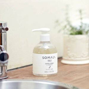 SOMALI ܂ nhpt̐΂ 250ml [Y}[̍ VRR ێ nh\[v r qǂ ǂ 蔧ɗD VRf VR A}  D  q ێ 