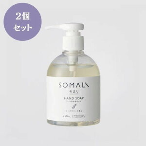 SOMALI ܂ nhpt̐΂ 250ml 2Zbg [Y}[̍ VRR ێ nh\[v r qǂ ǂ 蔧ɗD VRf VR A}  D  q