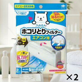 パッと貼るだけホコリとりフィルター エアコン用 2枚入 2セット 空気洗浄 エアコン掃除 エアコン用フィルター エアコンフィルター 貼るだけ 防カビ 抗カビ 防臭 花粉 ホコリ ホコリとりフィルター 粘着シール付 東洋アルミ 公式