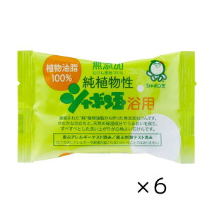 純植物性シャボン玉浴用 100g 6個 シャボン玉石けん 固形石けん せっけん 石鹸 全身 無香料 ボディ 顔 髪 体 純植物性 コスパが良い もっこもこ泡 洗浄力が高い 石けん成分100% 猫 犬