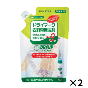 hCAbv DRYEUP ߗp lւ 250ml lߑւ lߑւp l TX^[ 2 Zbg hCN[jO ꒅ hC}[N ꒅ Z[^[ _E 