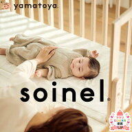 【公式】7/31発売 そいねーるAD+ ベビーベッド ラージ ミニ yamatoya 大和屋 PSC 添い寝ができる 新生児 …