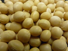 国産無農薬有機大豆 塩谷在来 1kg　★無農薬有機栽培大豆★