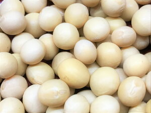 Y哤@Lz} 800g×1^400g×2Ƃ܂nkCYs[֔ztzEԎws@s