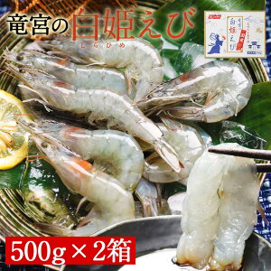 SyIzy  z P 500g×2Zbg(1kg)m Gr CV oiC Y {B Â hg Jpb` Gr` у` ސEj  O {Y v