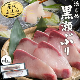 S【超早割企画！】【公式】活〆黒瀬ぶり ロイン スキンレス 2本入り 1kg前後 刺身 ブリ 海鮮 魚 丼 鮮魚 海鮮丼 ぶり 鰤 養殖 刺身用 ギフト 刺し身 直送 お取り寄せ 真空パック 切り身 生食 養殖ブリ 生食用 黒瀬ブリ 活締め 活け鮮魚 お歳暮 ブラックフライデー