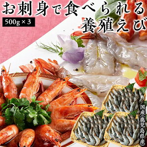 SyIzy  z P 500g×3Zbg(1.5kg)m  Gr CV oiC Y {B Â hg Jpb` Gr` у`  O {Y v[g 