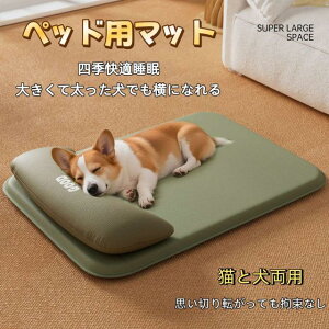 ySXi25%IIzybg}bg ybgxbh ybgV[c  L ybgp 5mm h  hbO}bg ybgpi ^ ^ ^ Lp vC}bg ی}bg t  H ~ y