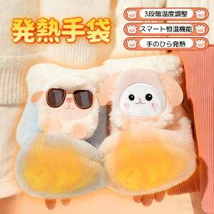 指切り手袋 加熱手袋 電熱手袋 フィンガーレスグローブ 暖手手袋 保温手袋 発熱保温手袋 発熱手袋 防寒手袋 オープンフィンガー手袋 女性用 電熱グローブ 3段階温度調節 防風 防寒 通勤 通