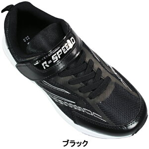 LbYXj[J[ RXs[h BJS377 ubNEbhEC 19cm`24cm LbY WjA j̎q X|[cV[Y [JbgXj[J[ qC ^C RȂC ʊwC }WbNe[v ʃt