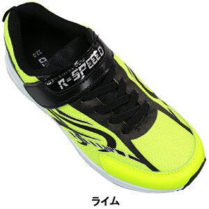 LbYXj[J[ RXs[h BJS377 ubNEbhEC 19cm`24cm LbY WjA j̎q X|[cV[Y [JbgXj[J[ qC ^C RȂC ʊwC }WbNe[v ʃt