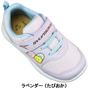 u 񂻂  Xj[J[ ݂R炵 C256 SKF2560 AC{[ x_[ 14cm`21cm LbY ̎q V[Y Xj[J[ C ^C qC }WbNe[v  3E Achilles AL