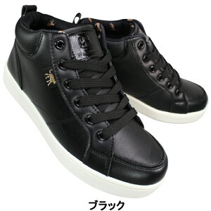 Wpc. Patterns hXj[J[ wpc-6812 ubNEO[ 23cm`24.5cm fB[X V[Y ~bhJbgXj[J[ hC RC EH[^[v[t J̓ Jɋ Jp C ʋΌC ʊwC