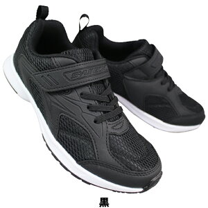 u 񂻂 JJ-195 u[E 19cm`25cm LbY WjA ʊwXj[J[ qC ʊwC ^C C SJJ1950 }WbNe[v ʃt@Xi[ xN C 2E ALX Achilles