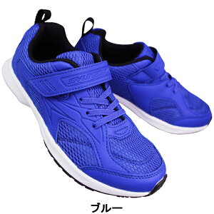 u 񂻂 JJ-195 u[E 19cm`25cm LbY WjA ʊwXj[J[ qC ʊwC ^C C SJJ1950 }WbNe[v ʃt@Xi[ xN C 2E ALX Achilles