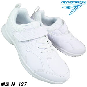 u 񂻂 JJ-197 / 17cm`25cm vAbp[ WjA ʊwXj[J[ Xj[J[ XN[V[Y ʊwC C ^C SJJ1970 }WbNe[v ʃt@Xi[ xN C 2E A