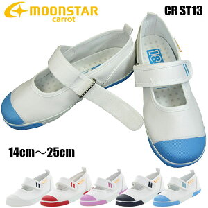 [X^[ Lbg 㗚 CR ST13 14cm`25cm LbYXj[J[ XN[V[Y LbYV[Y V[Y 킮 qC C q carrot MOONSTAR