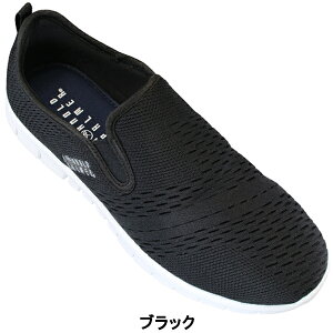 A[mhp[}[ AP0016 Y Xj[J[ V[Y JWAV[Y Xb| RȂC C ARNOLD PALMER