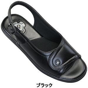 i[XT_ vtFbVi PW8501 sAEH[J[ fB[X zCgEubN S`LLTCY Xj[J[T_ ItBXT_ i[XV[Y wlC ÓdCh~ obNX