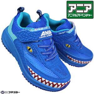 AjA Aj}Ahx`[ Xj[J[ TTEX 51000 u[ 15cm`19cm LbY WjA j̎q LbYXj[J[ V[Y }WbNe[v ʃt@Xi[ qC ^C RȂC 