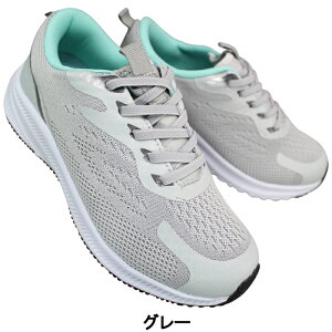 nYt[Xb| OPL-SXB5468 O[EubN 22.5cm`25cm fB[X Xj[J[ V[Y ^C SRC ƌC EH[LO g킸ɗ ENN C  X.B.