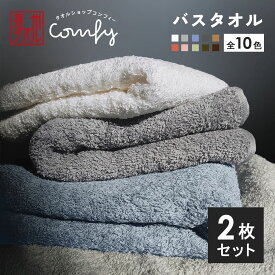 【マラソン開催中!】バスタオル 日本製厚手 2枚 セット 綿100 全10色 ホテル仕様 60×120cm タオル 泉州タオル 吸水性抜群 おしゃれ リッチホテル まとめ買い 【richbt】