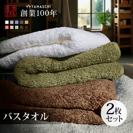 【全品P2倍！】日本製 バスタオル 厚手 2枚セット 全10色 ホテル仕様 60×120cm タオル 泉州タオル 吸水性抜群 おしゃれ リッチホテル まとめ買い 【richbt】