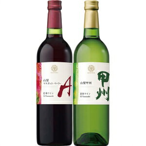 yz}Y GIR 2{ZbgyJ^Ofڕizyiwsz