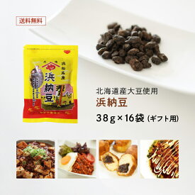 無添加大豆食品【ギフト用】浜納豆（食べきり小サイズ） 38g 16袋入 [発酵調味料] (化学調味料不使用) どうする家康 NHK 大河ドラマ 徳川家康 歴史 塩辛納豆 浜松城 大河ドラマ館 取扱商品 国産豆鼓(トウチ) 保存料不使用 北海道産大豆