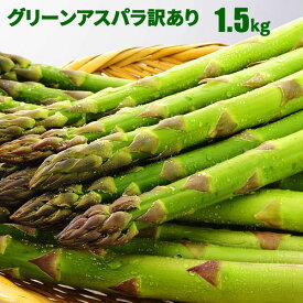 【予約】 北海道産 アスパラガス グリーンアスパラガス 1.5kg S～2L混 訳ありアスパラ 朝採り グリーンアスパラ 産地直送 産直 春 旬 北海道 アスパラ 訳有 露地