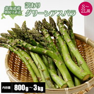 【2026年度収穫 予約】 北海道産 訳あり アスパラガス グリーンアスパラガス S〜2L混 800g/1kg/1.5kg/2kg…