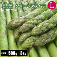 【2026年度収穫 予約】北海道産 グリーンアスパラガス Lサイズ 500g/600g/800g/1kg/1.5kg/2kg/2.5kg/3kg …