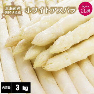 y2026Nxn \zkCY zCgAXpKX S`2L 800g/1kg/1.5kg/2kg/2.5kg/3kg kC zCgAXp Yn Y t { kC AXp AXpKX In