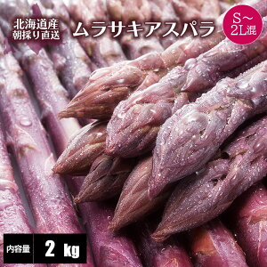 y2026Nxn \z kCY AXpKX S`2L 800g/1kg/1.5kg/2kg kC AXpKX 󏭂ȎAXp Yn Y t { kC  AXp AXpKX In