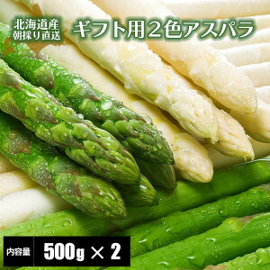 【2026年度収穫 予約】 北海道産 アスパラガス グリーンアスパラガス500g+ホワイトアスパラガス500g 「アスパラガス2色セット」  食べ比べ 詰め合わせ 産地直送 産直 春 旬 北海道 アスパラ