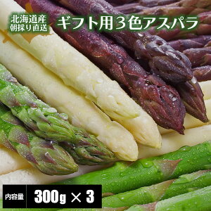 y2026Nxn \z AXpKX3F Hה׃Zbg kCY AXpKX O[300g{zCg300g{300g Hה lߍ킹 Yn Y t { kC AXp In AXp3F