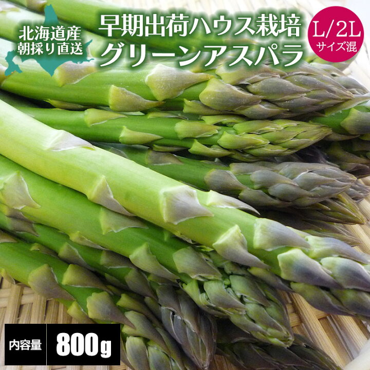 楽天市場 北海道産 アスパラ 早出し グリーンアスパラガス 800g ｌ ２ｌ混 ハウス栽培 ギフト 贈り物 高級ギフト 春 旬 産地直送 産直 北海道 アスパラガス 太 お取り寄せ 食べ物 食品 贈物 贈答品 北海道マルシェ