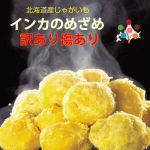 �y�󂠂�E������z�C���J�̂߂��� 3kg S/M/LM/L�T�C�Y���� ������ �k�C���Y �W���K�C�� �C���J�̖ڊo�� ���Ⴊ���� �k�C�����