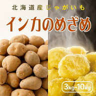 【予約】【 新じゃがいも 】 インカのめざめ S/M/LM/L/2L混 3kg/5kg/10kg ジャガイモ インカの目覚め じ…
